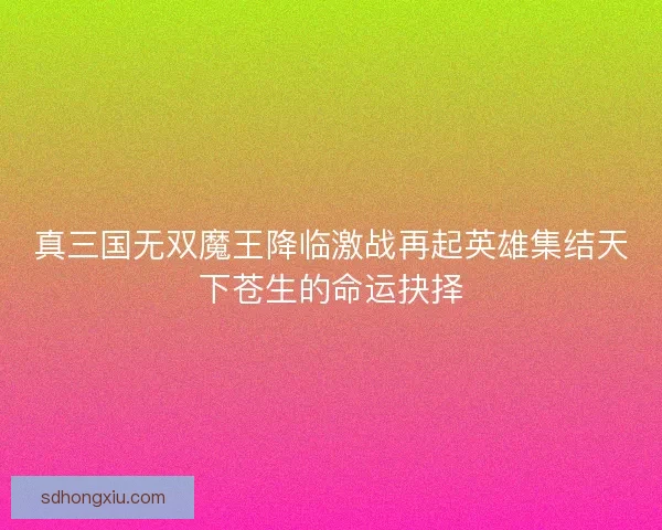 真三国无双魔王降临激战再起英雄集结天下苍生的命运抉择