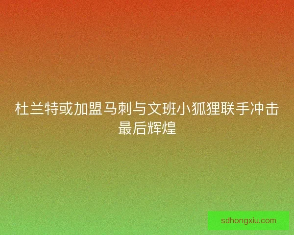 杜兰特或加盟马刺与文班小狐狸联手冲击最后辉煌