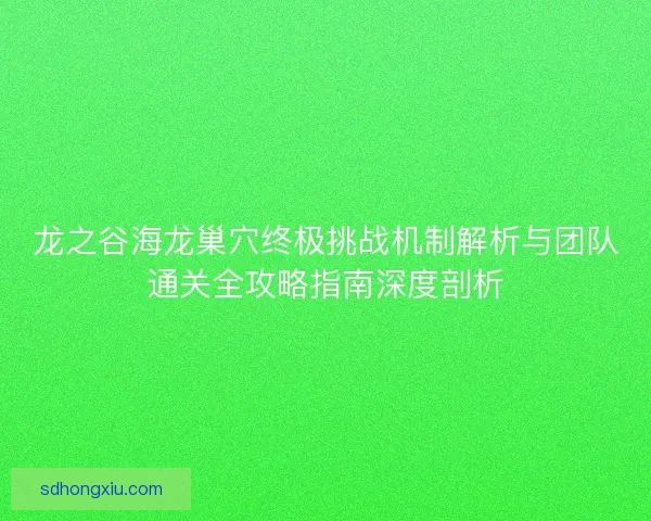 龙之谷海龙巢穴终极挑战机制解析与团队通关全攻略指南深度剖析