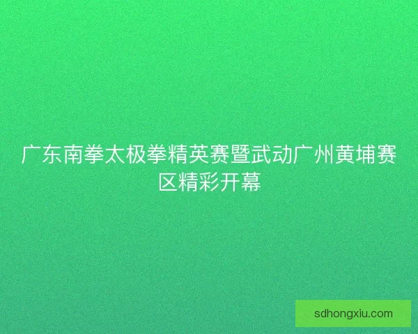 广东南拳太极拳精英赛暨武动广州黄埔赛区精彩开幕