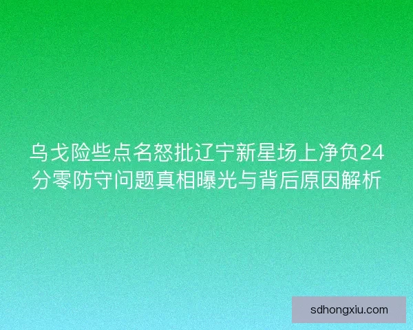 乌戈险些点名怒批辽宁新星场上净负24分零防守问题真相曝光与背后原因解析