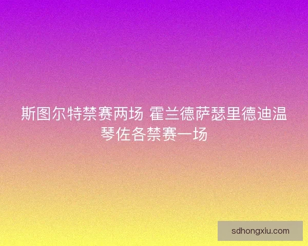 斯图尔特禁赛两场 霍兰德萨瑟里德迪温琴佐各禁赛一场