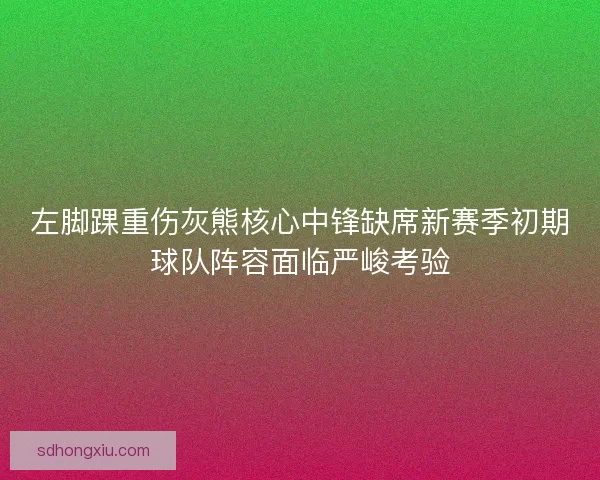 左脚踝重伤灰熊核心中锋缺席新赛季初期球队阵容面临严峻考验