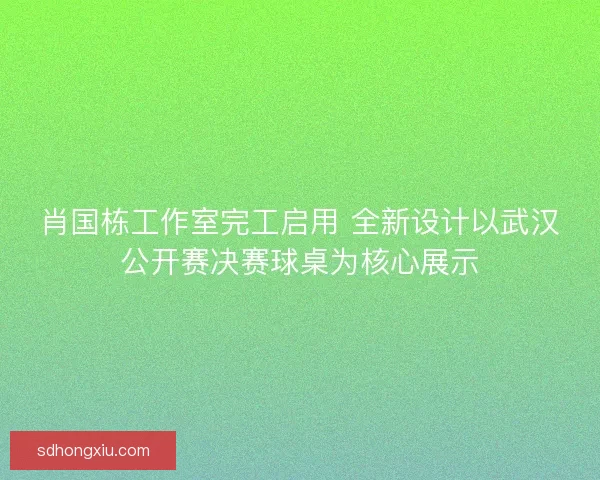 肖国栋工作室完工启用 全新设计以武汉公开赛决赛球桌为核心展示